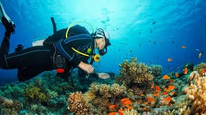 Best 2026 Yacht Charter Spots for Diving & Snorkeling