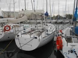 Wooden Caribbea 30 "Arkhe" for Sale in Northeast Italy