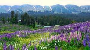 Jammu & Kashmir Moves to Expand Tourist Areas