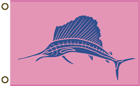 2026 Sailfish Sweethearts Tournament Preview