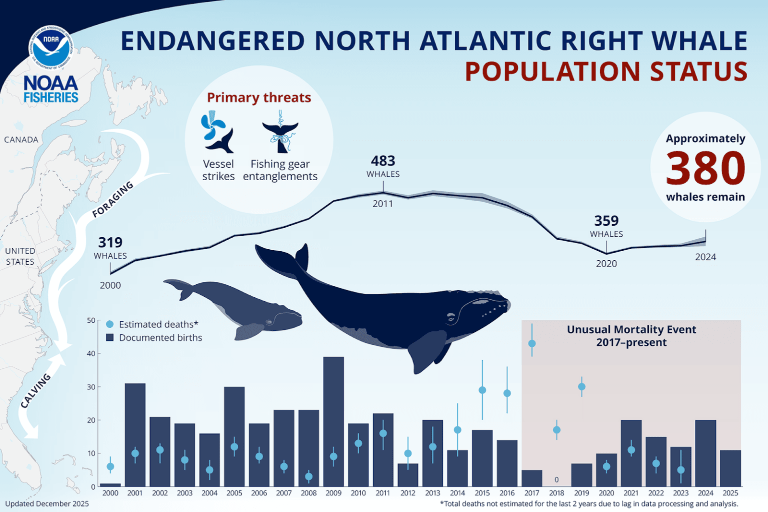 Right Whale Protections and Boater Responsibilities