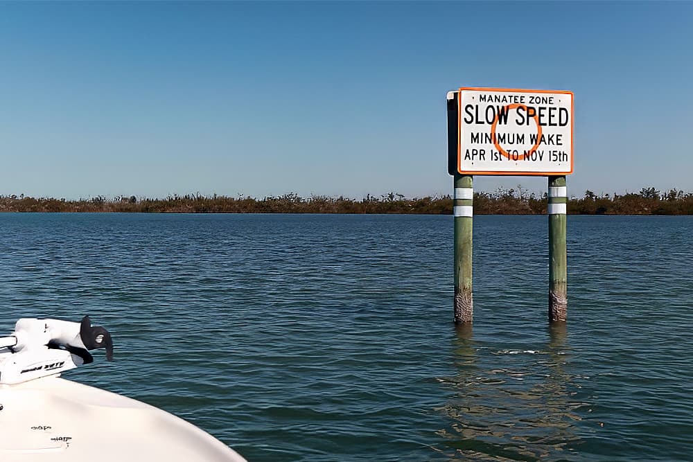 Wake Zones and Safe Boating in Southwest Florida