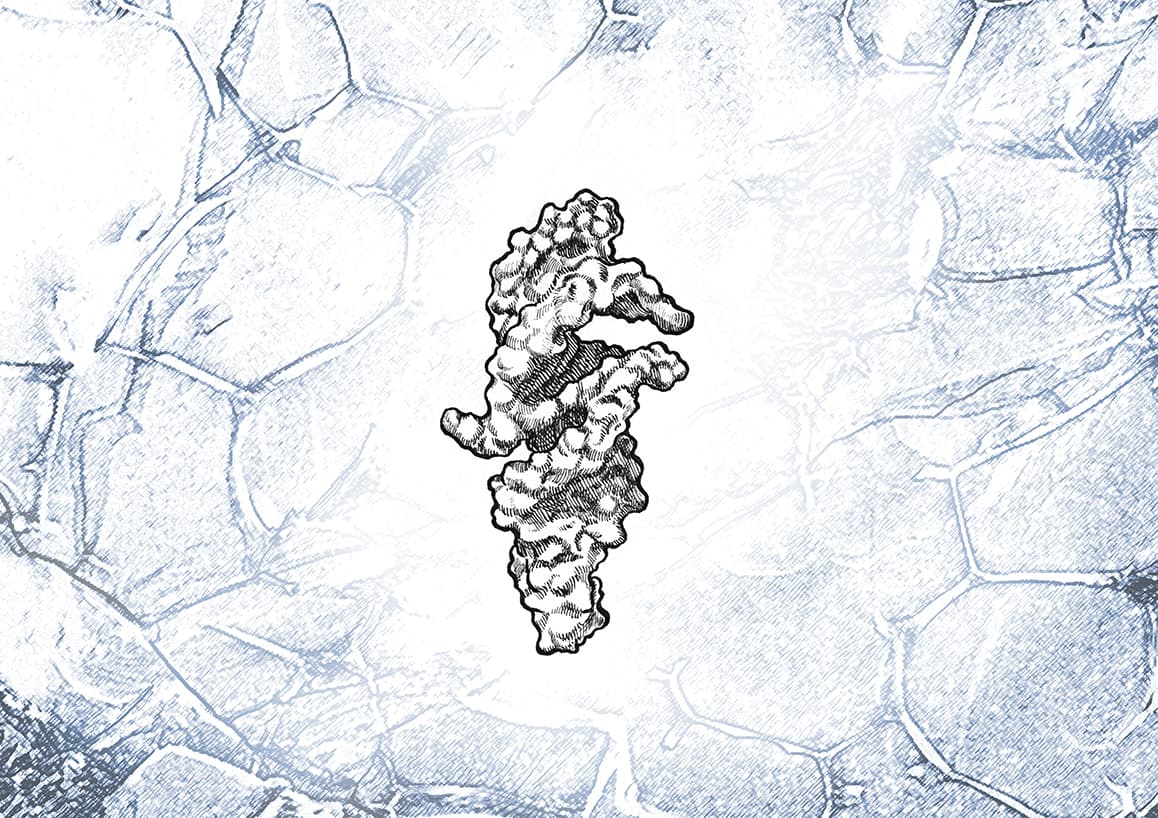 A 45-letter RNA that could spark self-replication