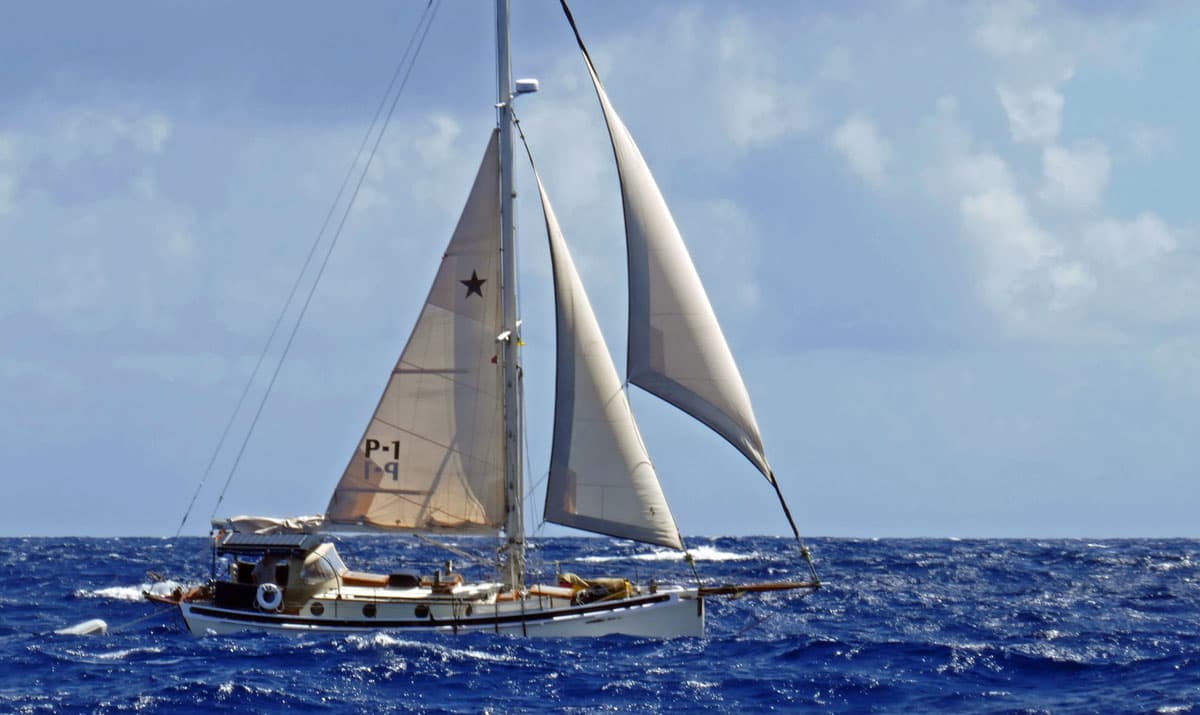 Rigging for Long Downwind Voyages