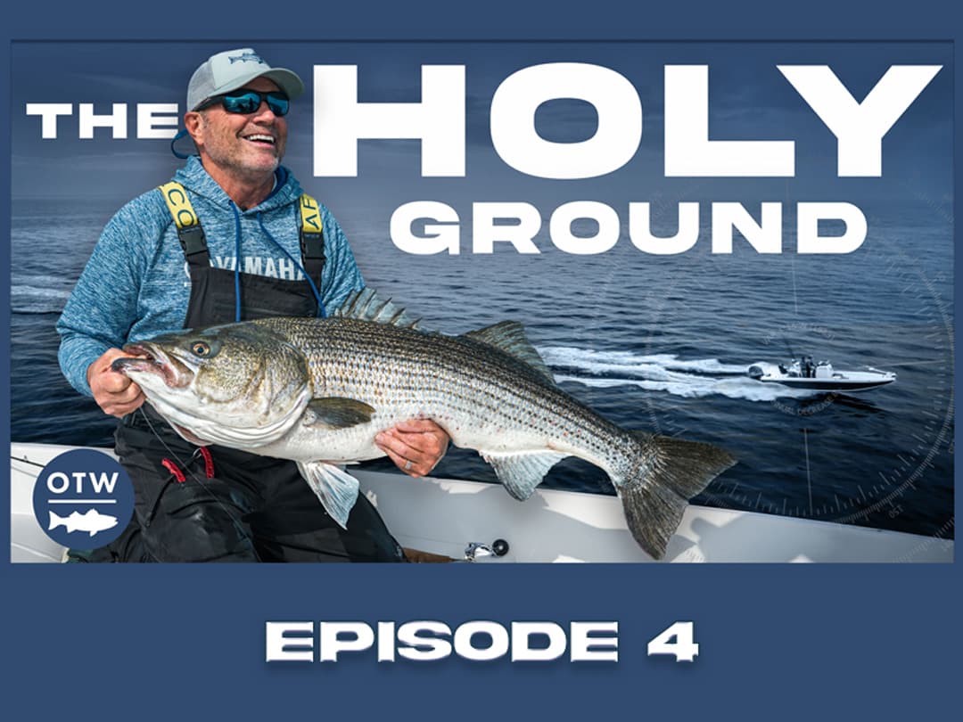 Early-Season Striped Bass at Block Island