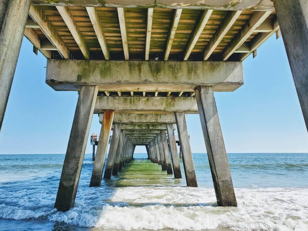 Georgia Coastal Sportfishing Guide