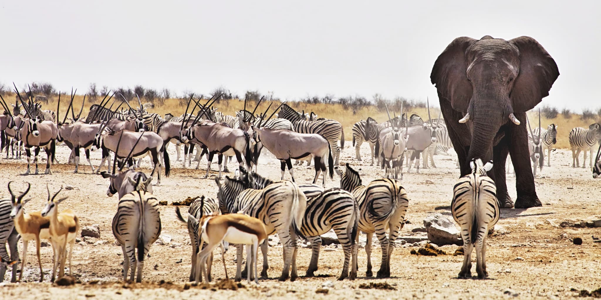 Namibia Increases National Park Fees to Strengthen Conservation