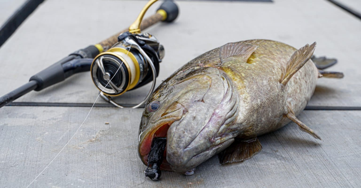 Tie and Fish Hair Jigs for Spring Bass