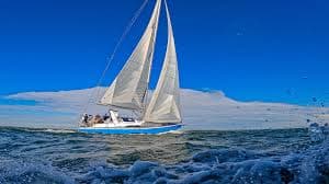 2026 New Monohulls and Multihulls Reviewed