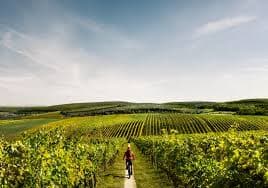 Indian visitor growth pushes Czech regions into the spotlight