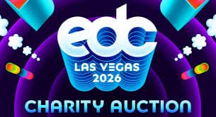 Electric Daisy Carnival 2026 Charity Auction Highlights