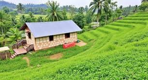 LastClues Expands Digital Access for Rural Hosts