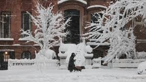 Blizzard Shuts Roads, Cancels Flights Across the Northeast