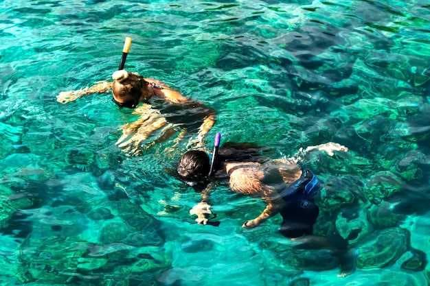 10 Best Big Island Snorkeling Tours with Good Prices - Our Favorites