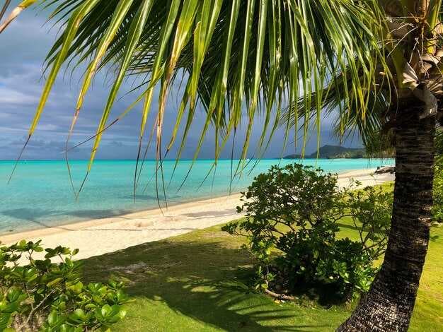 14 of the Best Antigua Beaches for Your Caribbean Holiday