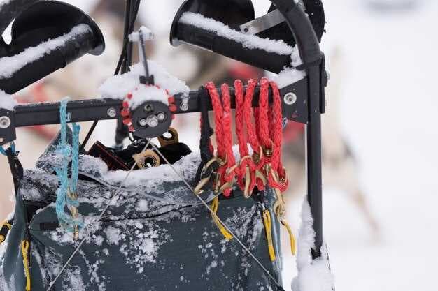 2-Stroke Outboard Winterization - Step-by-Step Maintenance Guide