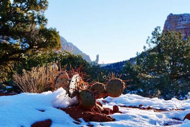 21 Best Places to Visit in November in the USA 2026 - Ultimate Travel Guide