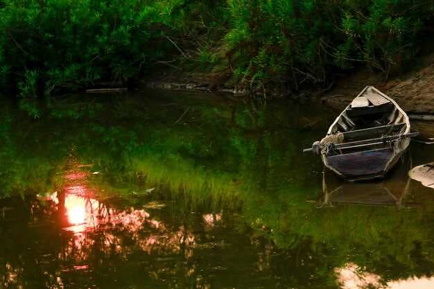 27 Best Fishing Lakes and Streams Near Flagstaff and Coconino County