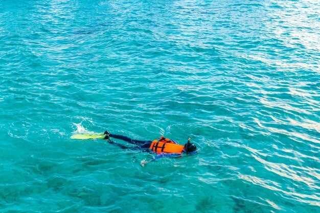 4 Best Snorkeling Experiences in St. Petersburg, FL - Top Spots for Underwater Adventure