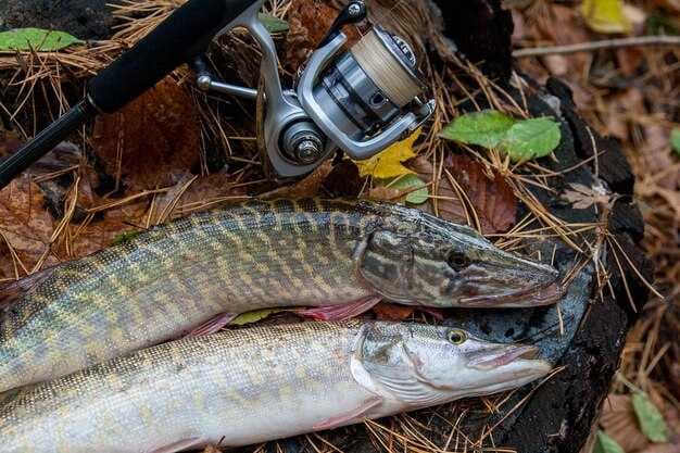 7 Essential Bass Fishing Tips - How to Catch a Bass Like a Pro