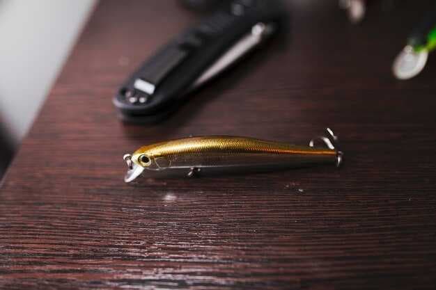 8 Best Fishing Rods for Beginners - Top Picks and Buyer's Guide