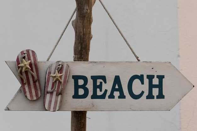 A Guide to Clearwater Beach, Florida - Top Things to Do, Places to Stay, and Travel Tips