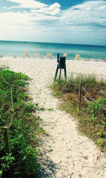 A Short Distance to 3 Beautiful Association Bay Beaches - Your Ultimate Guide