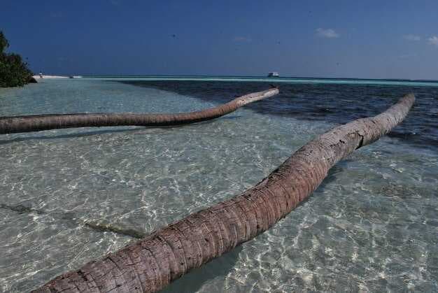Abacos - The Best of the Bahamas - Crystal-Clear Waters &