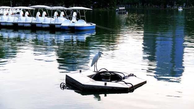 Affordable Angwin Boat Rentals Near Me - Explore the Water Today!