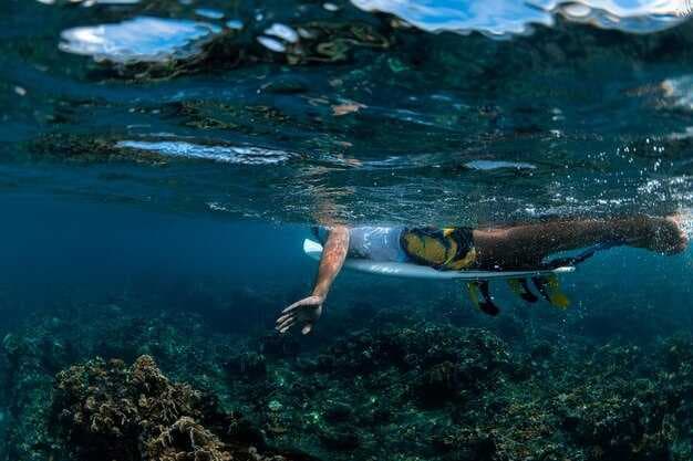 Aruba Scuba Diving - The Ultimate Guide to Wrecks and Reefs