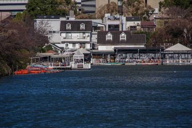 Ashville Bay Marina 2026 Season - Hours, Rentals, and Everything You Need to Know!