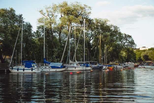 Aylett Fishing Boat Rentals & Charters Near Me - Explore Local Adventures