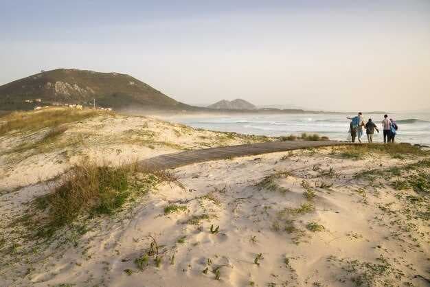 Best Beaches Near Washington, DC for 2026 - A Comprehensive Guide