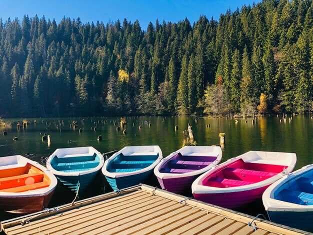 Best Boat Rental at Lake of the Ozarks | LOTO Boat Rental Guide