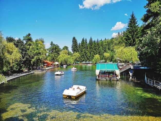 Best Boat Rentals on Lake Minnetonka - Top Picks for Your Trip
