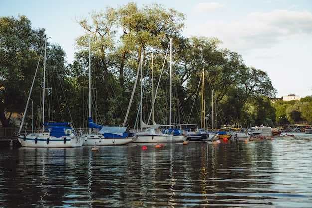 Best Boat Rentals on Old Hickory Lake – Top Picks and Deals