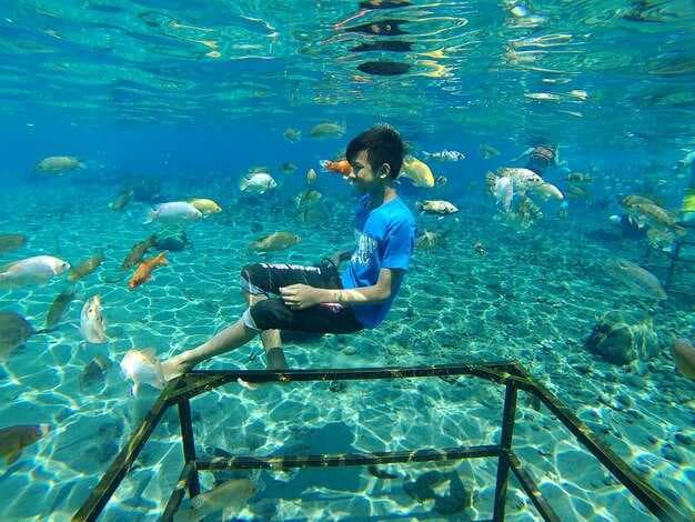 Best Dive Sites for Scuba Diving - Top Global Destinations