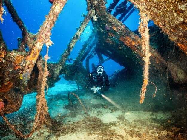 Best Diving Trips in Mission Bay, San Diego - Guided Dives