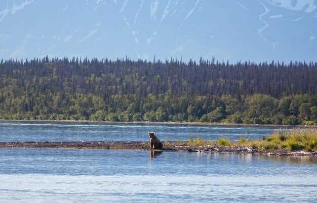 Best Lakes Near Vancouver - Top Spots for Day Trips Around Vancouver, BC