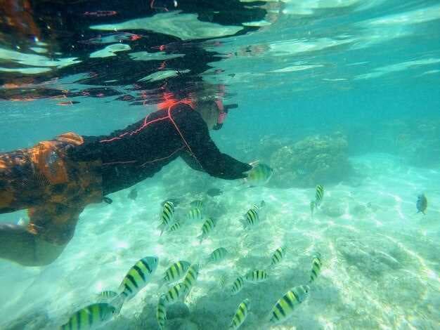 Best Snorkeling in Mozambique - Top Spots, Tips, and Reef Guide