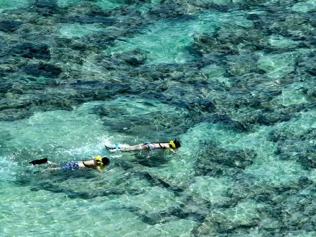 Best Snorkeling in Oman - Top Spots for Coral Reefs and Crystal Clear Waters