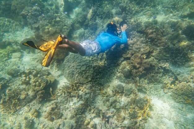 Best Snorkeling in Panama - Top Spots and Marine Life Guide