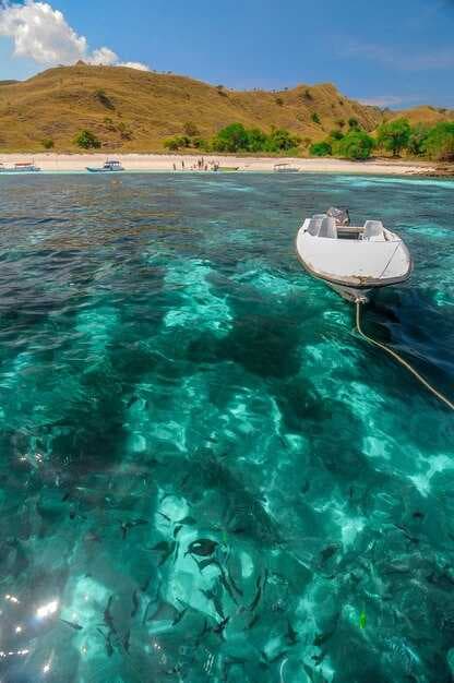 Best Tahiti Yacht Charter Guide 2026-2026 | South Pacific