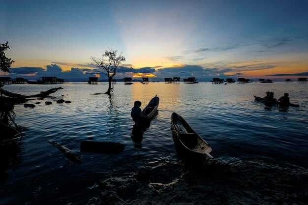 Best Time to Go Fishing - Seasons, Tides, and Moon Phases
