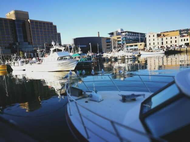 Boat Rental in New York City - The Best NYC Boat Rental Options