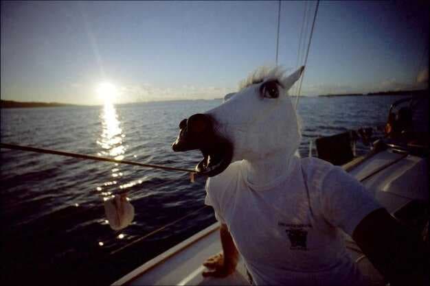 Catamaran vs Monohull - The Cat Is Better for Your Sailing Trip