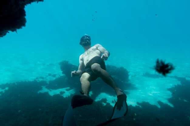 Category Diving in Hawaii - The Ultimate Guide to Top Diving Spots, Gear, and Safety