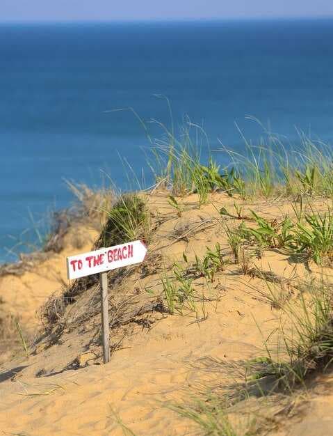 Dallas to Alabama Gulf Coast - Essential Mini Guide for a Superb Summer Road Trip