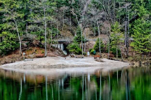 Discover Beavers Bend Marina - Your Ultimate Destination on Beautiful Broken Bow Lake