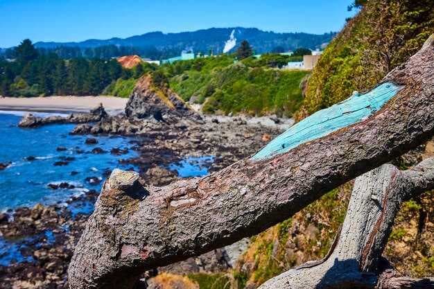 Discover Cape Vincent NY - A Hidden Gem of the Thousand Islands